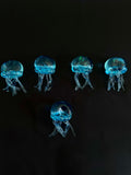 Squichy Méduse bleue