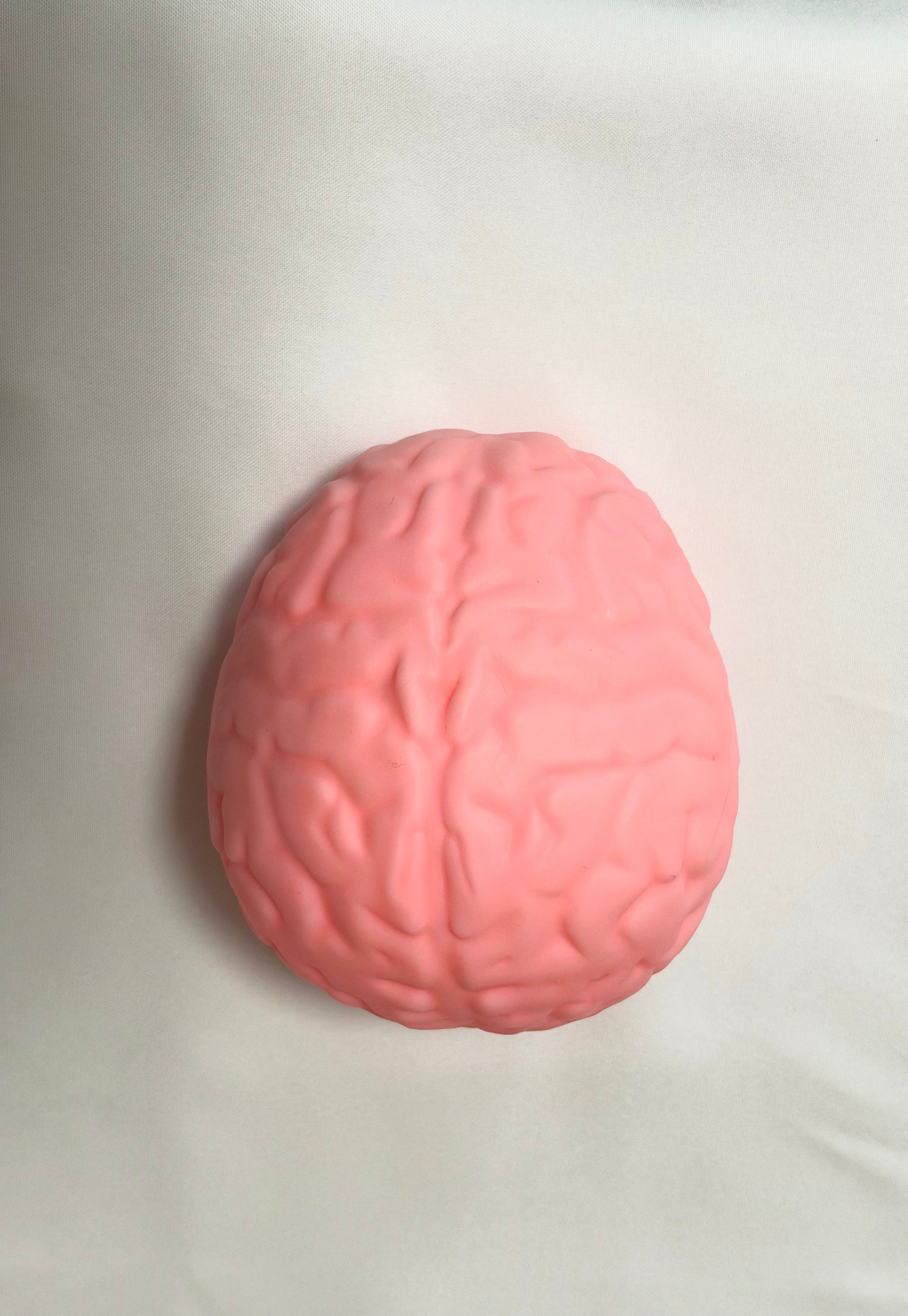 Cerveau XL