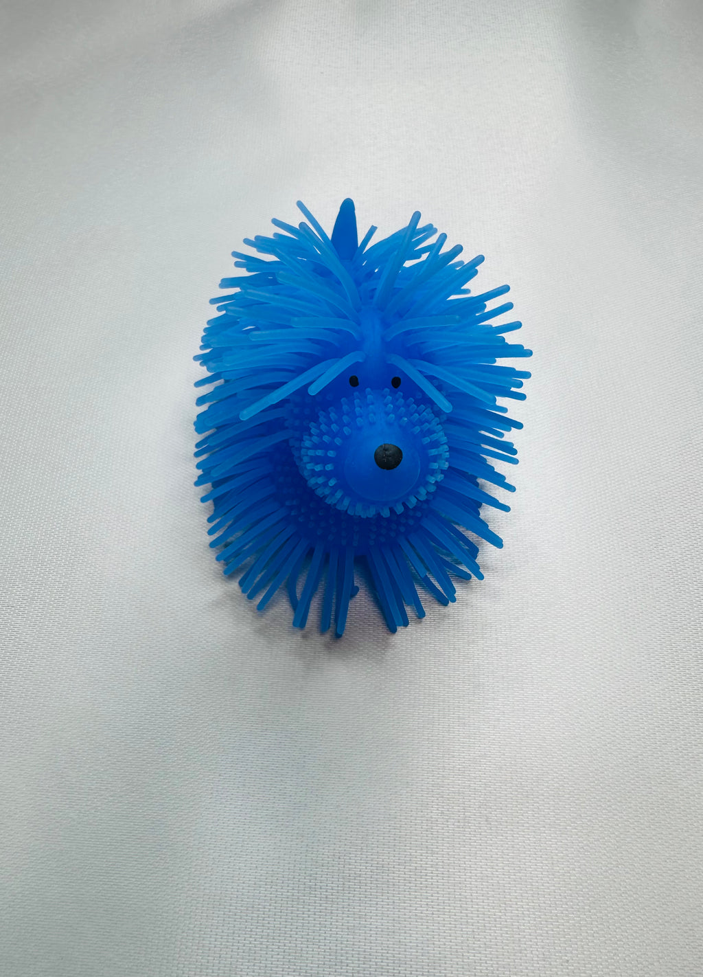 Chien lumineux bleu