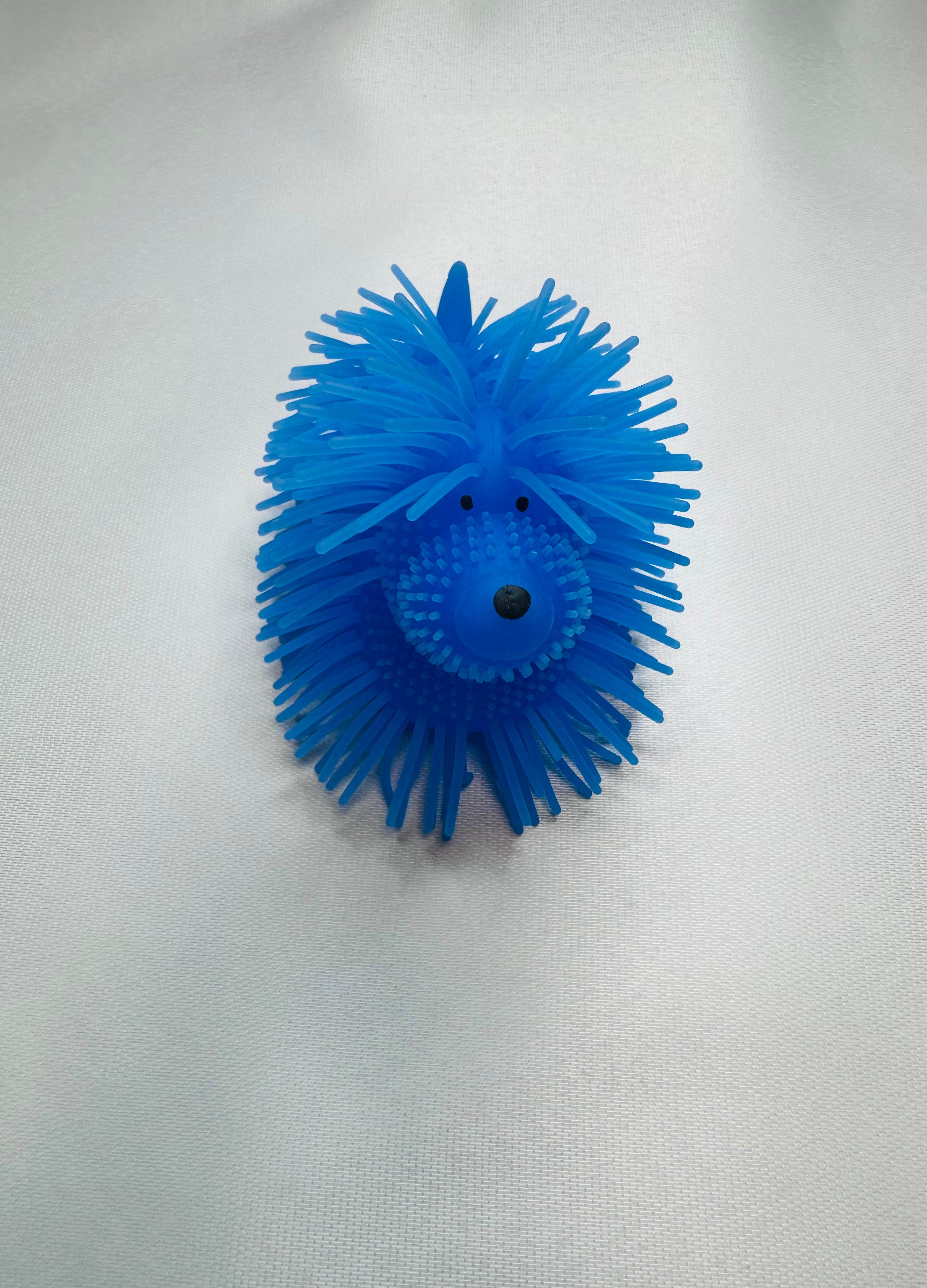 Chien lumineux bleu