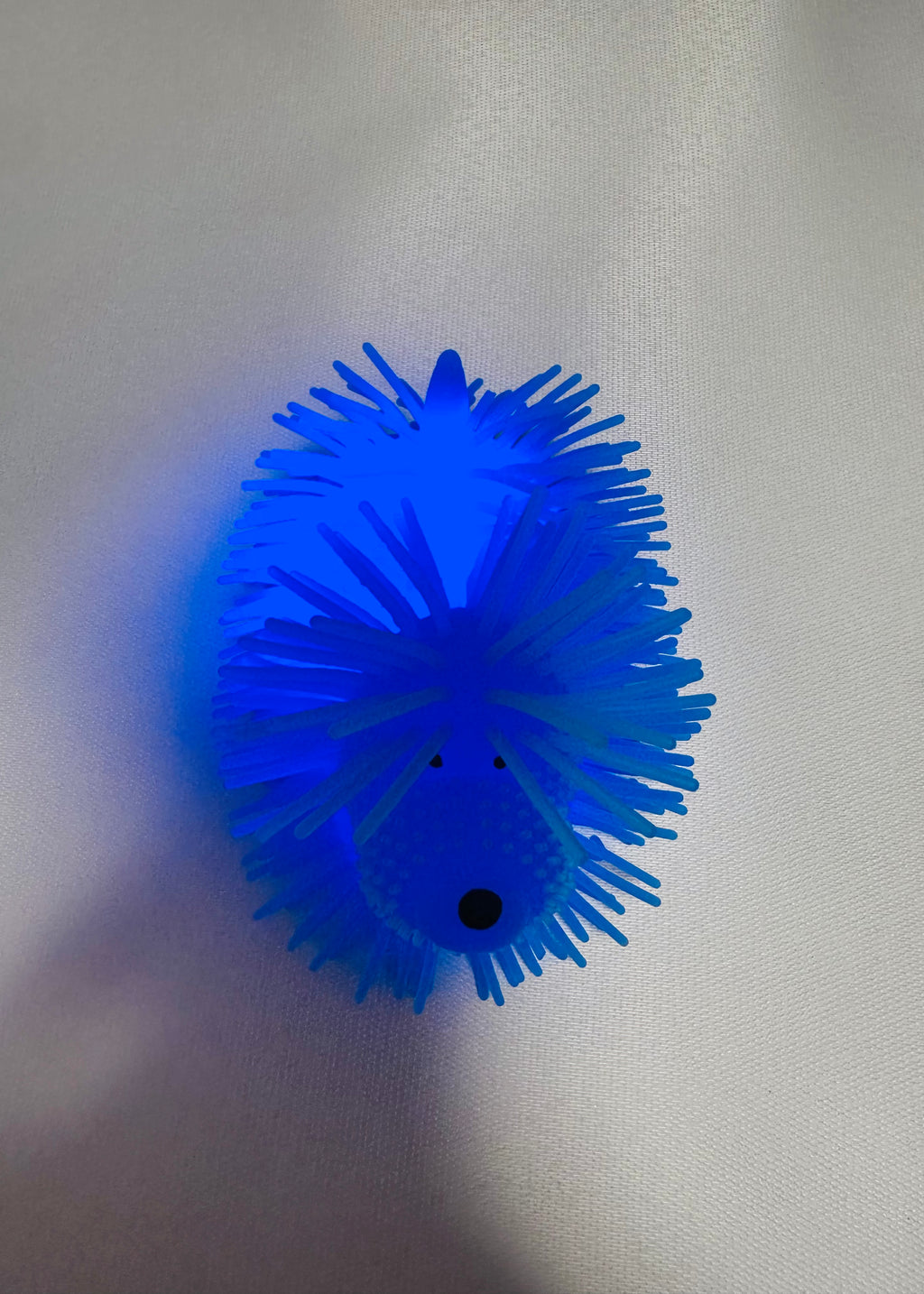 Chien lumineux bleu