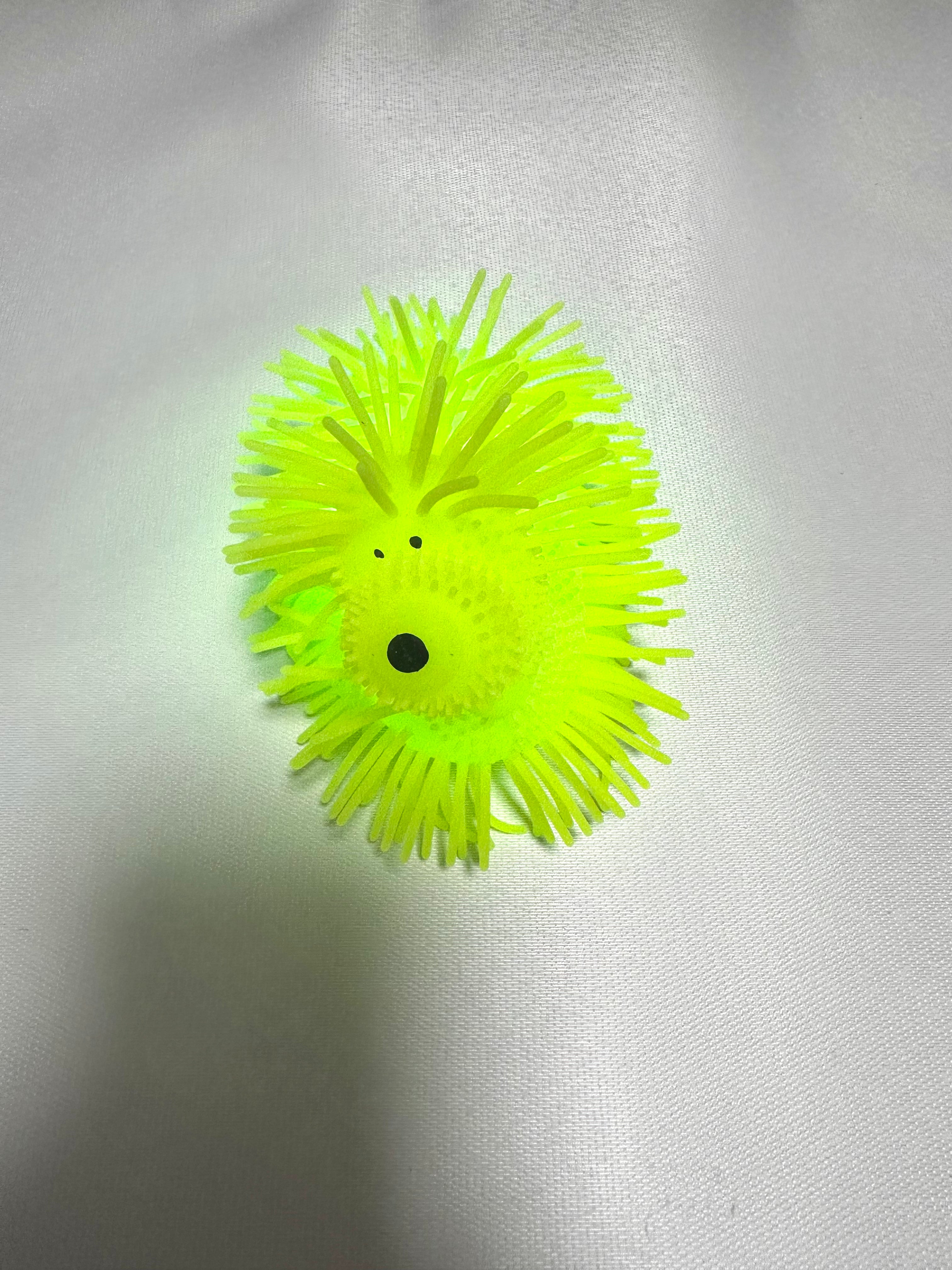 Chien lumineux jaune extensible