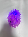 Chien lumineux violet extensible