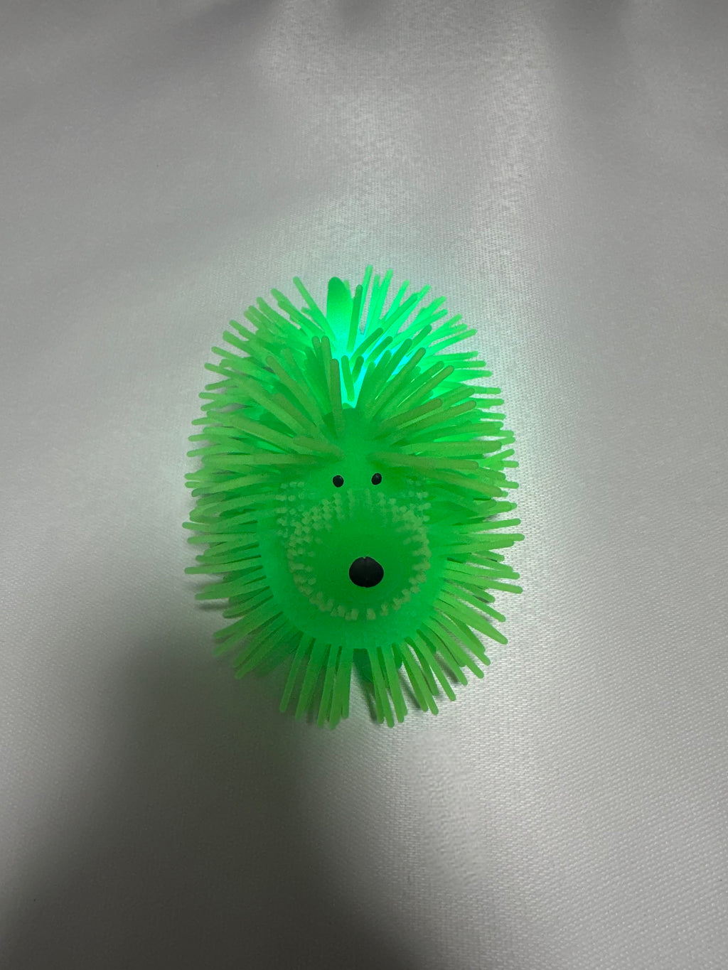 Chien lumineux vert extensible