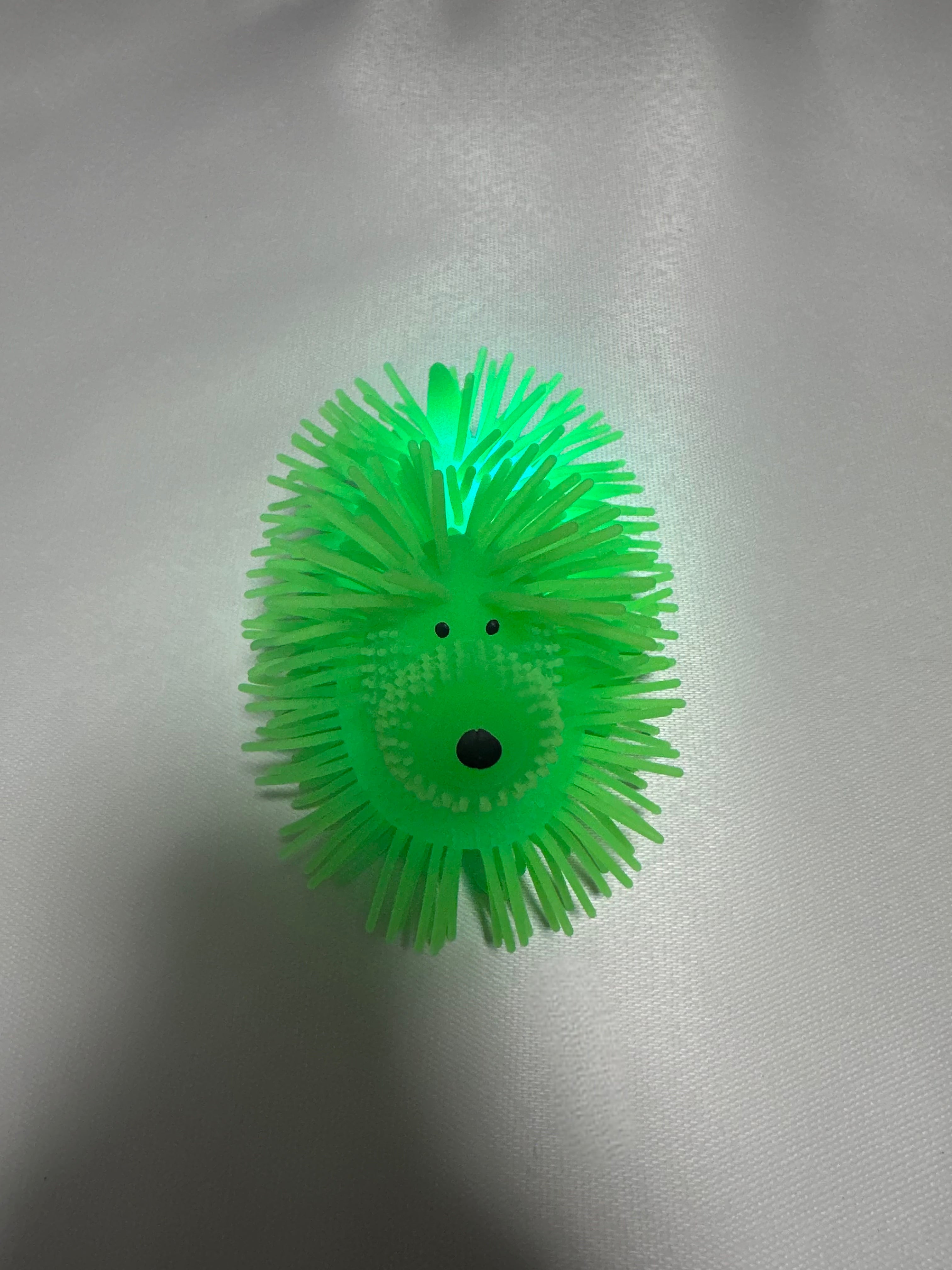 Chien lumineux vert extensible