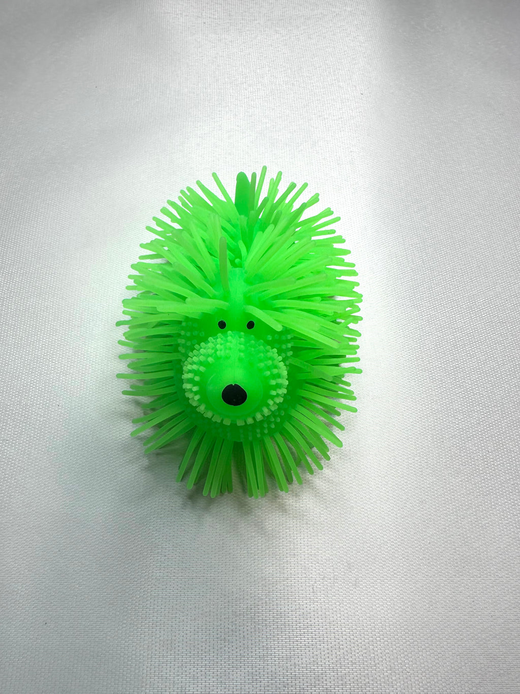 Chien lumineux vert extensible