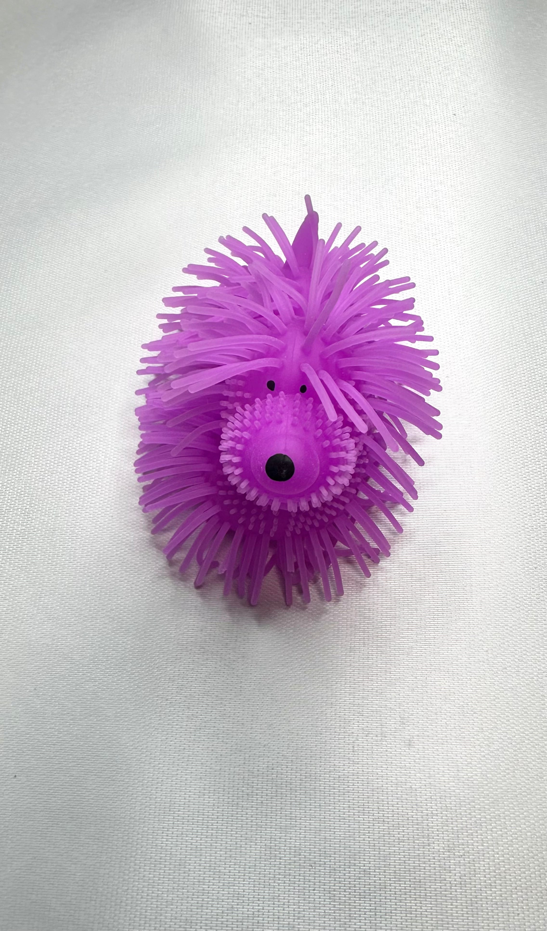 Chien lumineux violet extensible