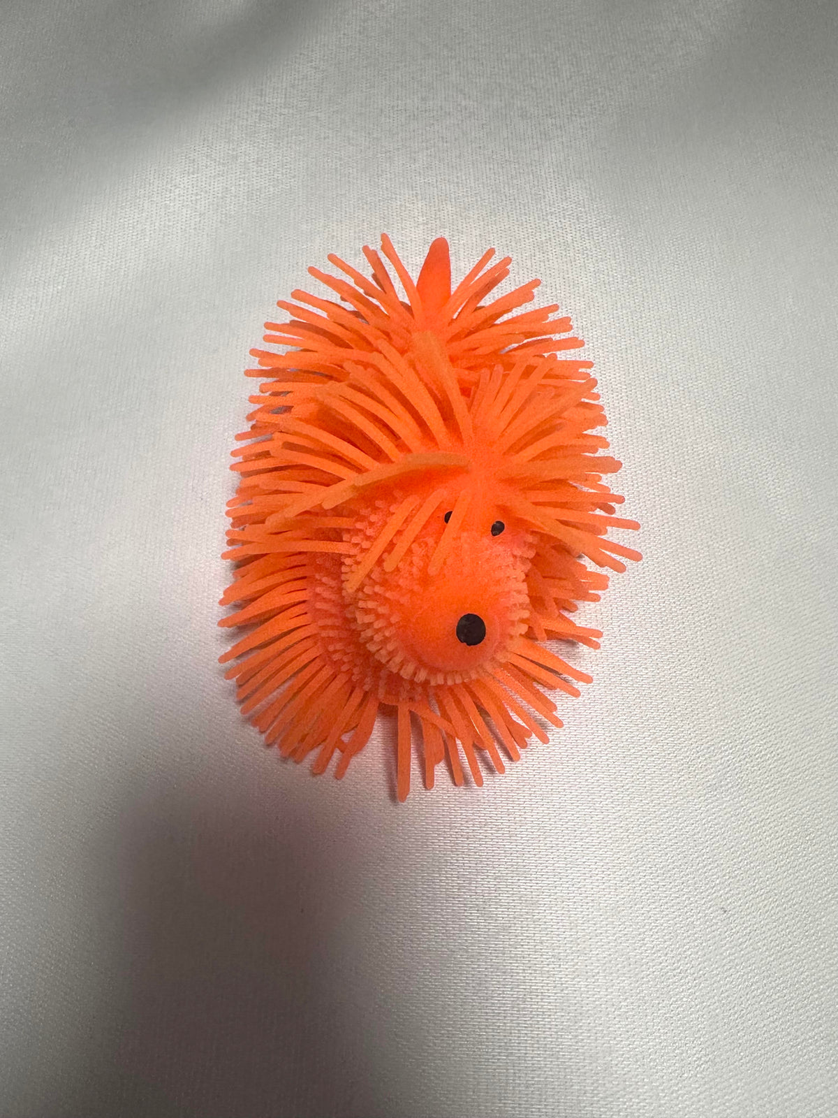 Chien lumineux orange extensible